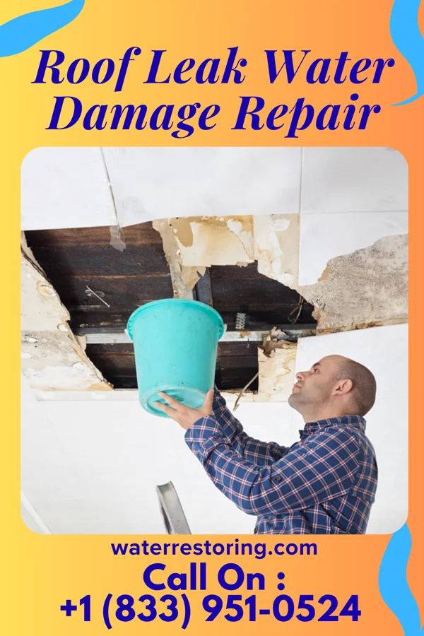 Roof Leak Water Damage Repair in Anacoco, LA