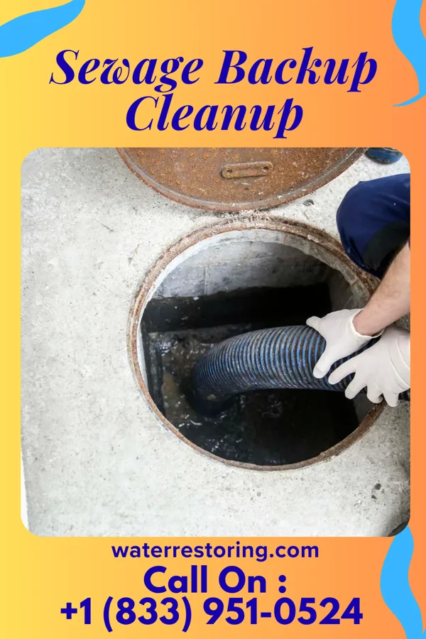Sewage Backup Cleanup in Anacoco, LA